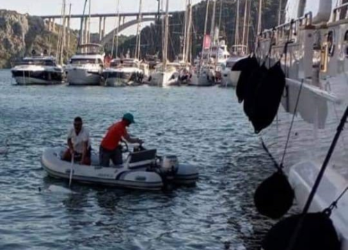 Fotografija koja puno govori: Čini li vam se da je labud na kojeg je u Skradinu s jahte skočio mađarski turist sposoban sam otplivati dalje?