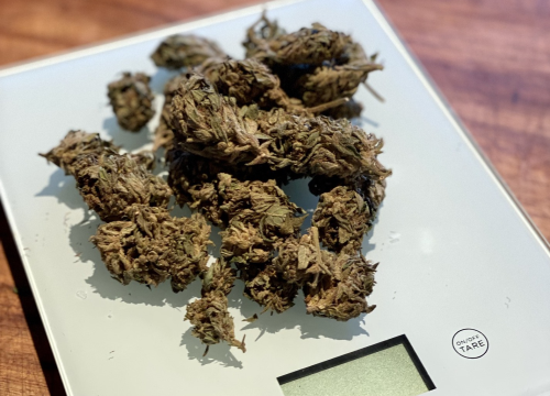 Znanstvenici ostali iznenađeni kad su testirali djecu roditelja koji konzumiraju marihuanu