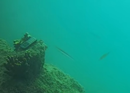 Mobitel osvanuo na dnu mora, točno ispred podvodne kamere: Snimka pokazala što se dogodilo