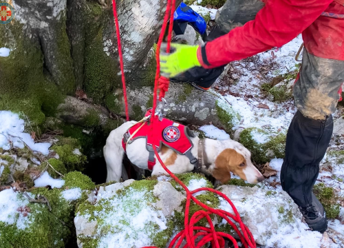 Sretan kraj! Hrvatski GSS-ovci spasili promrzlog i izgladnjelog psića iz jame duboke osam metara
