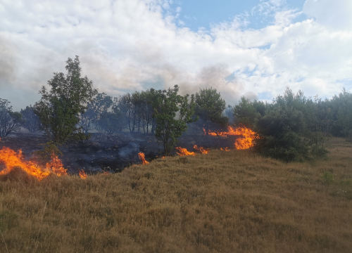 Zlarinski vatrogasci novom uslugom koju pružaju mogli bi prilično smanjiti broj požara