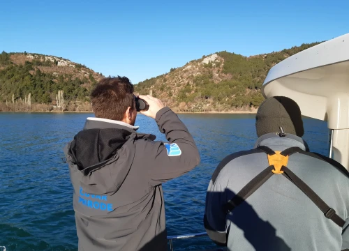 Zimsko prebrojavanje ptica vodarica u NP 'Krka': Zabilježene 33 vrste i 1900 jedinki