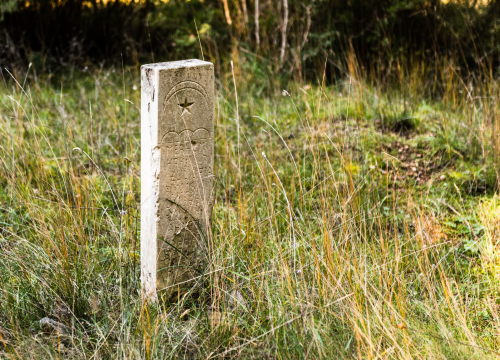 Fotografija 7 - 'To groblje je poput Pandorine kutije, bila je i njemačka krim policija': Na Raskrižju su posljednje počivalište našli i partizani i fašisti