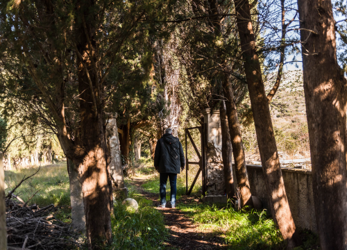 Fotografija 12 - 'To groblje je poput Pandorine kutije, bila je i njemačka krim policija': Na Raskrižju su posljednje počivalište našli i partizani i fašisti