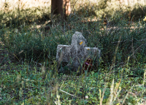 Fotografija 13 - 'To groblje je poput Pandorine kutije, bila je i njemačka krim policija': Na Raskrižju su posljednje počivalište našli i partizani i fašisti