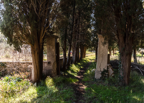 Fotografija 17 - 'To groblje je poput Pandorine kutije, bila je i njemačka krim policija': Na Raskrižju su posljednje počivalište našli i partizani i fašisti