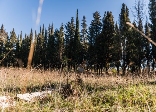 Fotografija 31 - 'To groblje je poput Pandorine kutije, bila je i njemačka krim policija': Na Raskrižju su posljednje počivalište našli i partizani i fašisti