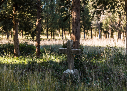 Fotografija 30 - 'To groblje je poput Pandorine kutije, bila je i njemačka krim policija': Na Raskrižju su posljednje počivalište našli i partizani i fašisti