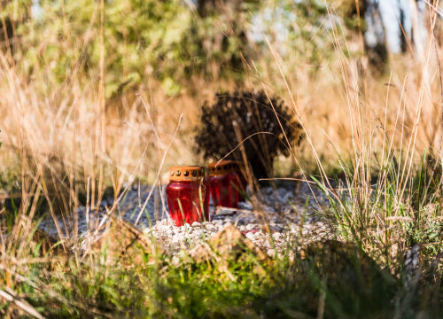 Fotografija 35 - 'To groblje je poput Pandorine kutije, bila je i njemačka krim policija': Na Raskrižju su posljednje počivalište našli i partizani i fašisti