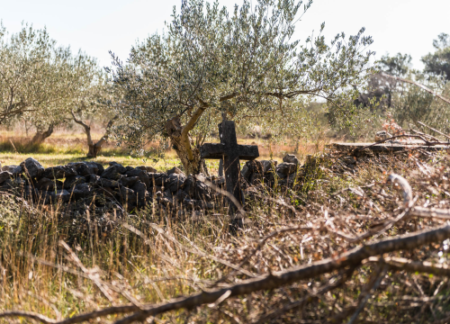 Fotografija 38 - 'To groblje je poput Pandorine kutije, bila je i njemačka krim policija': Na Raskrižju su posljednje počivalište našli i partizani i fašisti