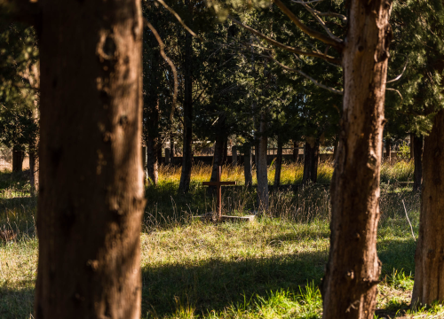 Fotografija 41 - 'To groblje je poput Pandorine kutije, bila je i njemačka krim policija': Na Raskrižju su posljednje počivalište našli i partizani i fašisti