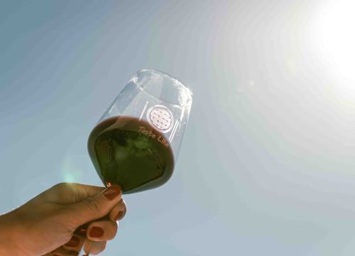 Iskoristite priliku za besplatan prijevoz mini busom u petak na Danima otvorenih kušaonica!