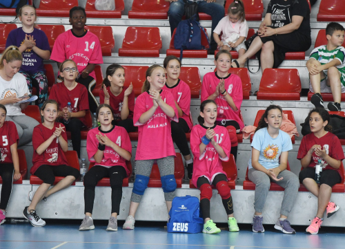 Fotografija 17 - Mini rukometaši završili sezonu