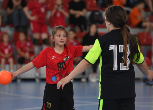 Fotografija 6 - Mini rukometaši završili sezonu