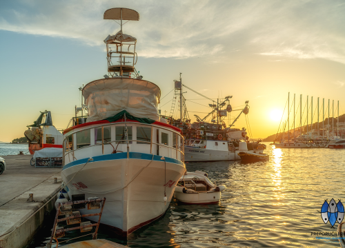 Ne propustite degustaciju dimljene ribe u Tribunju!