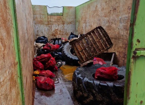 Fotografija 5 - Na području TEF-a održana 3. akcija čišćenja podmorja u sklopu projekta Plavi Jadran