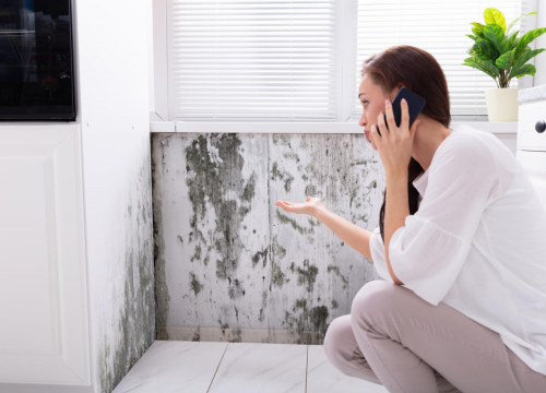 Donosimo odgovore na pet najčešćih pitanja vezanih uz pojavu vlage ili plijesni u kućama!