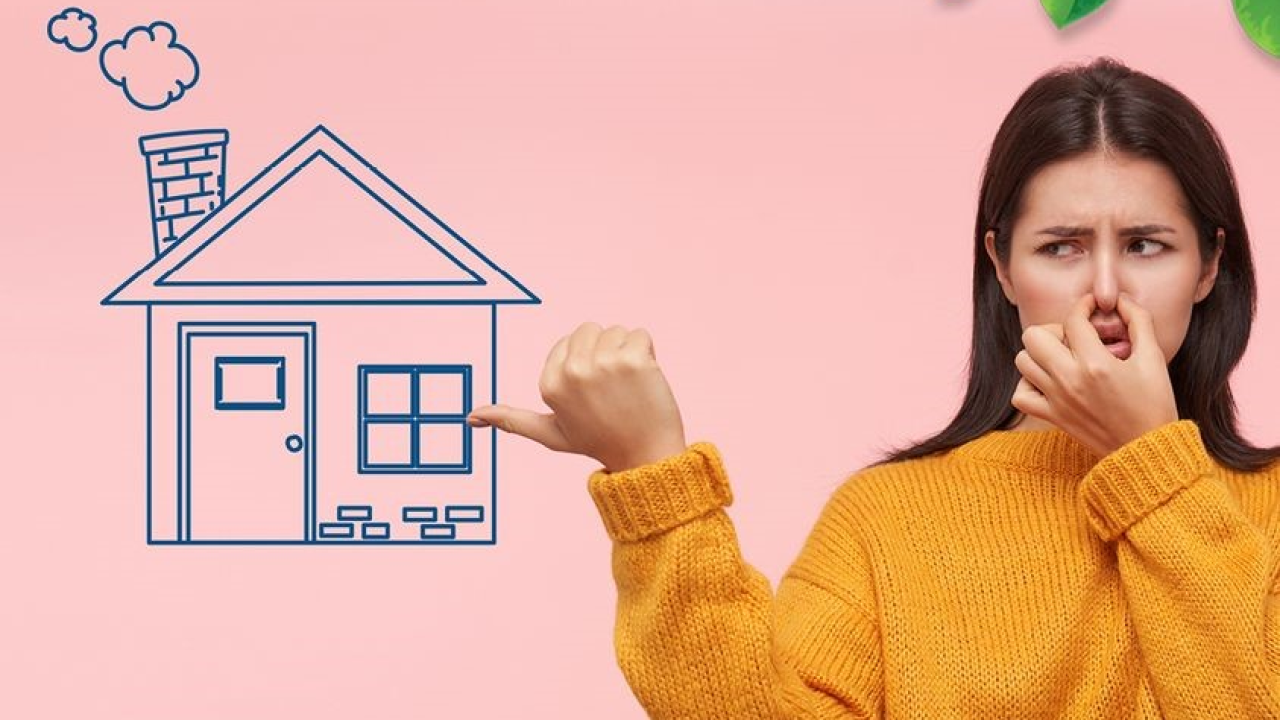 Pobrinite se za svoje zdravlje: Riješite se prekomjerne vlage i plijesni u svom domu!