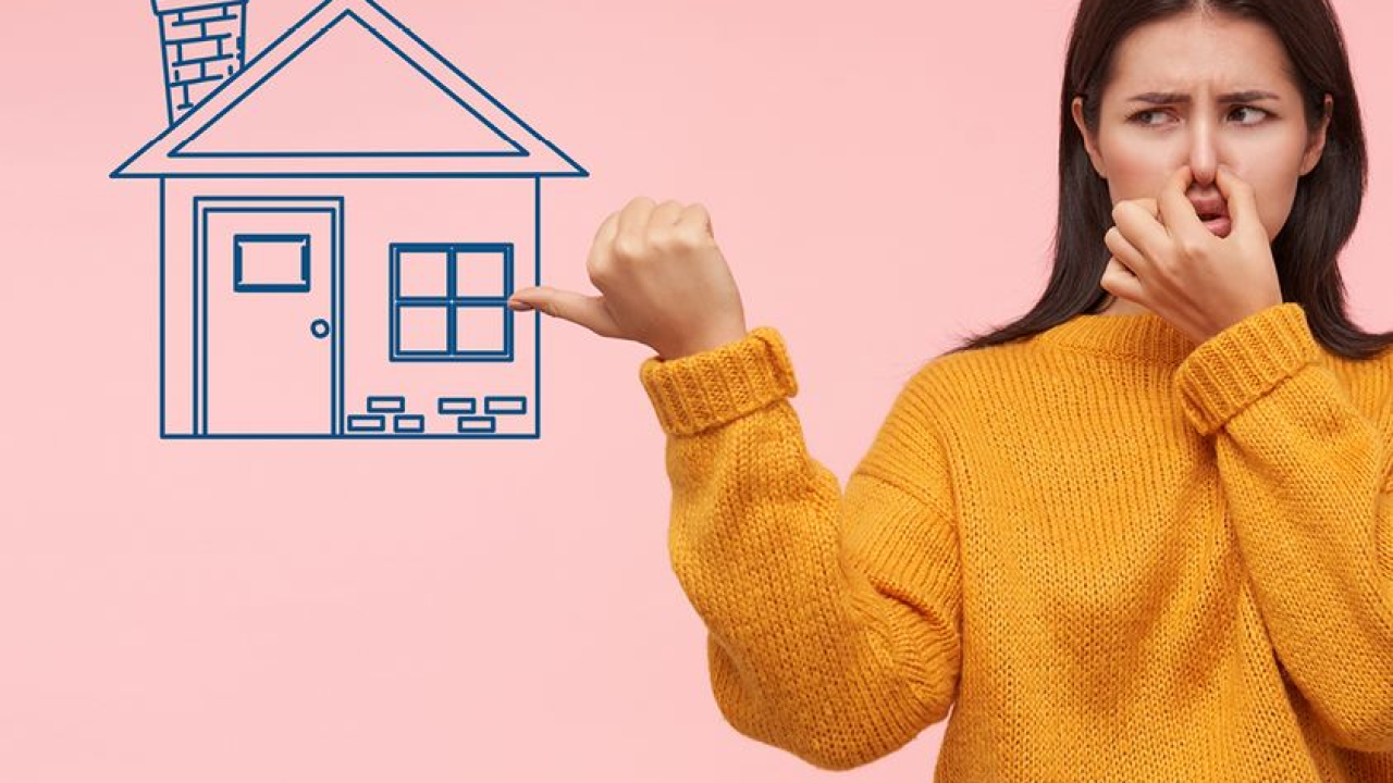 Vlaga i plijesan su iznimno opasni za zdravlje: Pročitajte kako ih spriječiti!