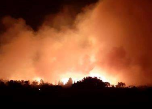 Nakon ogromnih požara u LA-u očekuju kišu: ‘Stvorila se opasna mješavina toksina’