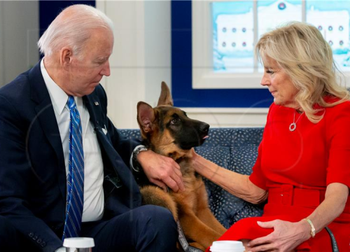 Commander terorizira Bijelu kuću: Bidenov pas ugrizao agente najmanje 24 puta