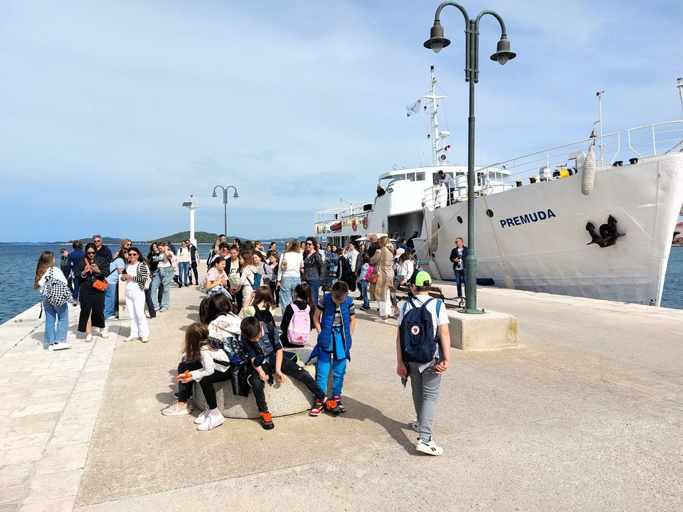 Na Zlarinu otvorena izložba likovnih i literarnih radova s natječaja Mačke
