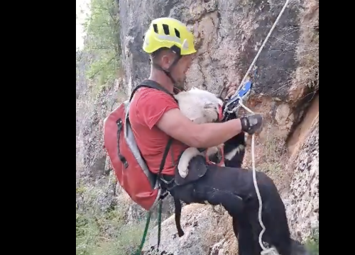 Zabrinuti pogled i čvrsto stisnute šapice: Šibenski HGSS spasio psića u Biskupiji