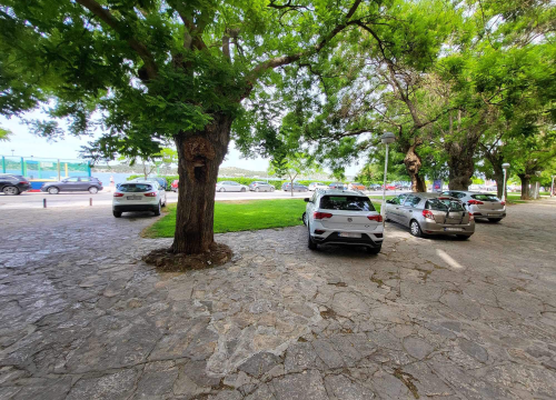 Što je dopušteno Jupiteru, nije volu: Ispred Biskupije besplatni parking u hladu