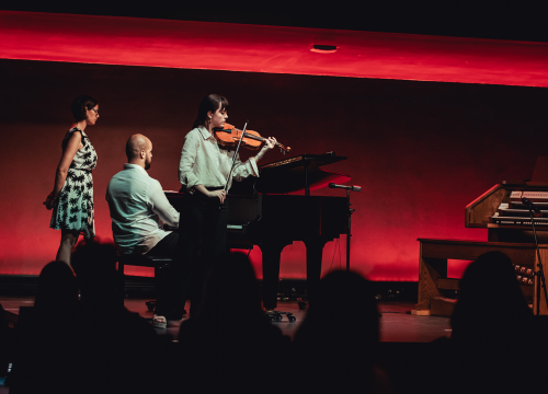 Počele prijave na audiciju za upis u prvi razred Glazbene škole Ivana Lukačića