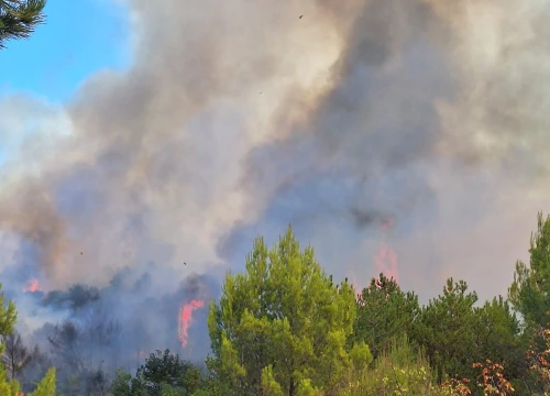 Fotografija 2 - Gori iznad Roškog slapa, požar u zaleđu Skradina i dalje aktivan: Na terenu je 159 vatrogasaca
