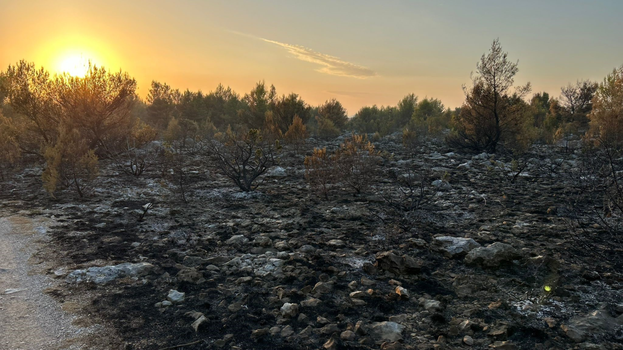 Brzom intervencijom drniški vatrogasci lokalizirali požar u Oštrogašici