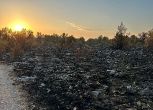Brzom intervencijom drniški vatrogasci lokalizirali požar u Oštrogašici