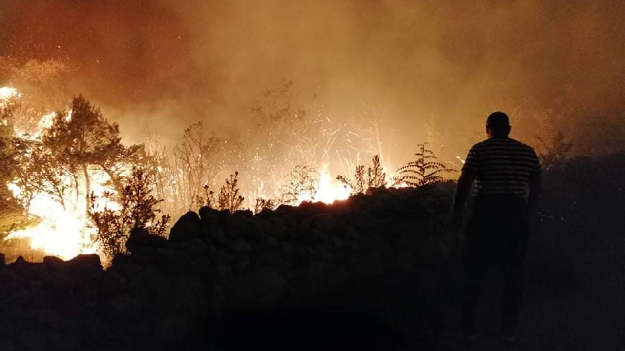 Gori na području Kijeva: Radi gašenja ljudi prevezeni helikopterom do planinarskog doma