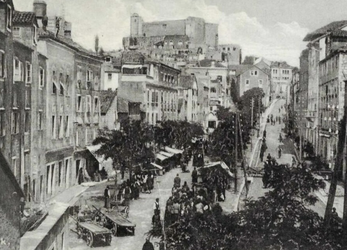 Šibenski leksikon: Znate li što znači žbalati na balote?