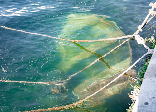Nebriga, zaborav ili nešto drugo? U Docu na dnu mora leži mala barka