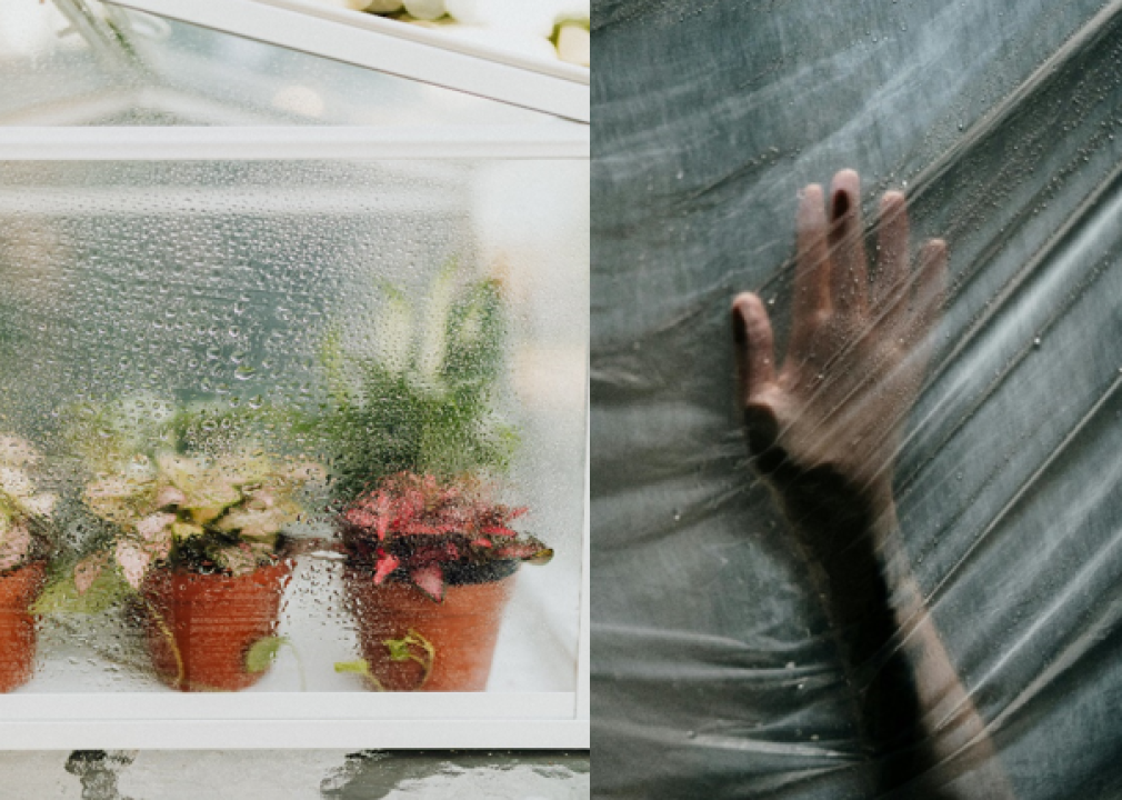 U kući vam je kao u stakleniku?