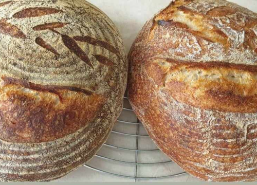 Recept za sourdough kruh Sanje Antunac od durum pšenice