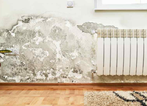 Fotografija 3 - Neka vaš dom zamiriši po kolačima, a ne vlazi i plijesni!