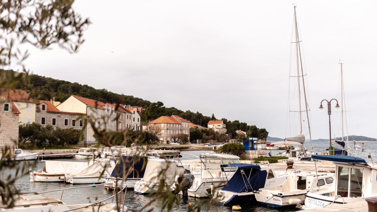 Koliko poznajete živi svijet Jadrana? Saznajte ovoga vikenda u Centru koralja Zlarin
