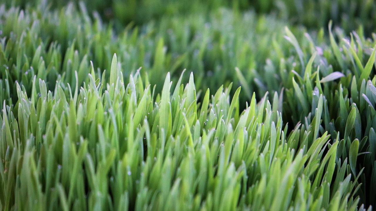 Udruga Argonaut nagrađuje održive energetske projekte, rješenja i inovacije