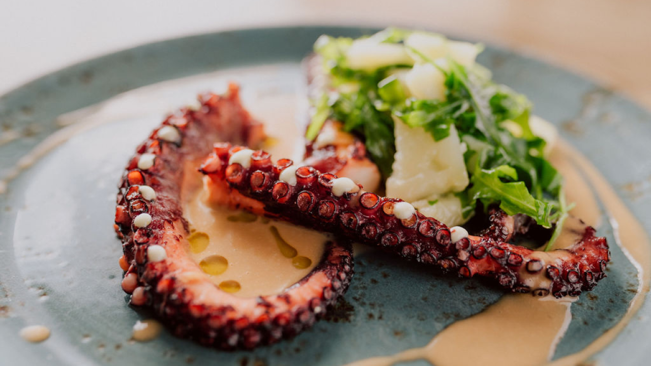 Bistro Kod Starog: Savršen bijeg od zime u ugodnom ambijentu