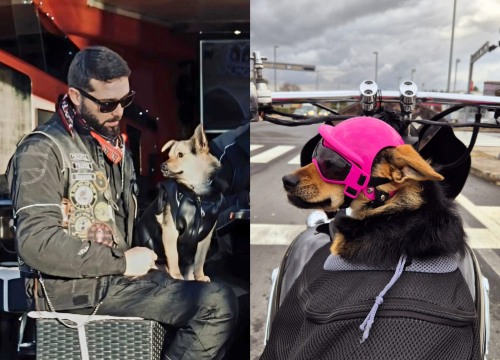 Rea je bajkerica kao i njezini vlasnici: 'Nas je spojila ljubav prema motorima, a sada ih i ona voli'