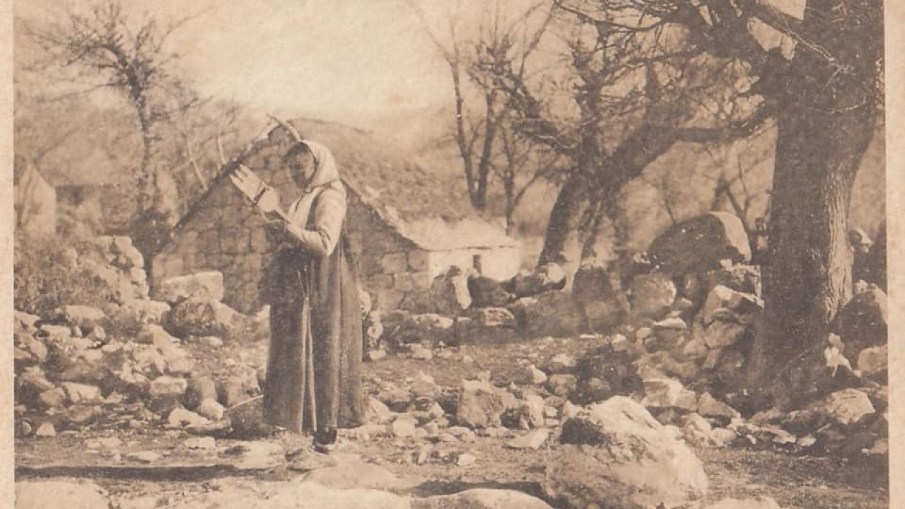 Šibenski leksikon: Ona rufijana rošpija samo ronza po cile dane