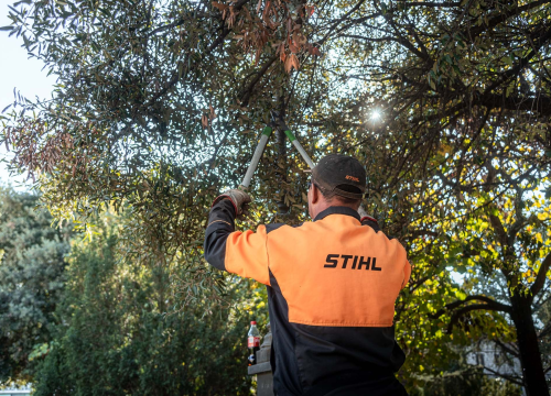 Što vam je draže, stablo ili parkirno mjesto?: 'Parkirno misto, ovi šta kažu stablo nemaju ni biciklu'