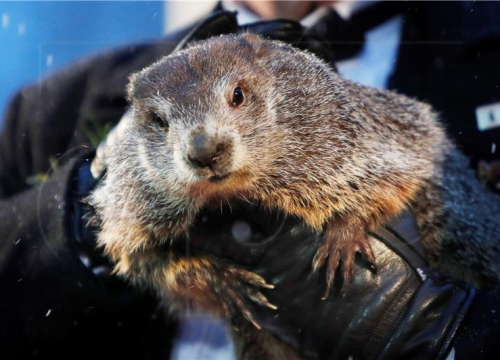 Svizac Phil otkrio je kad nam stiže proljeće