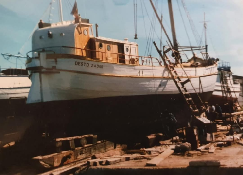 Desto: životna priča starog vodičkog trabakula