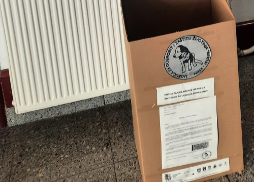 Studenti Veleučilišta u Kninu imaju volontersku misiju za kninske njuškice u udruzi 'Berta'