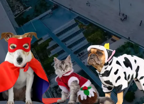 Karneval kućnih ljubimaca odgađa se za sljedeći vikend