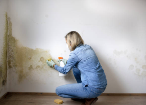 Fotografija 1 - FOTO Internet je prepun magičnih proizvoda za eliminaciju vlage i gljivica, djeluju li stvarno?