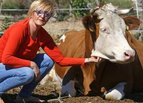 Ivana Šimac Mehić bila je 22 godine medicinska sestra, a sada je uspješna i sretna poduzetnica na svom OPG-u